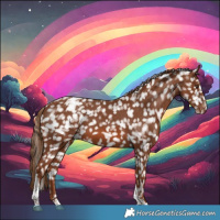 Horse Color:Chestnut Tobiano Appaloosa 