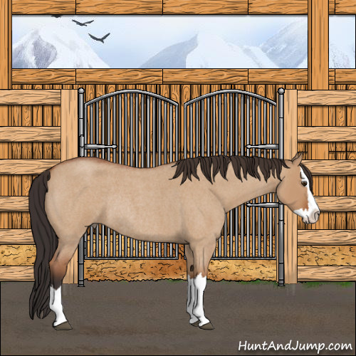Horse Color:Bay Roan Dun Sabino Splash Rabicano 