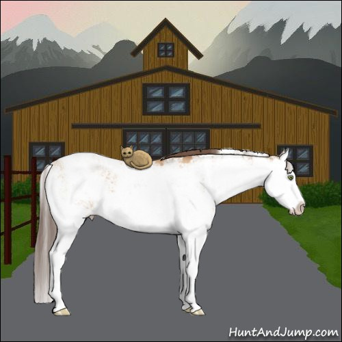 Horse Color:Amber Champagne Sabino Splash 
