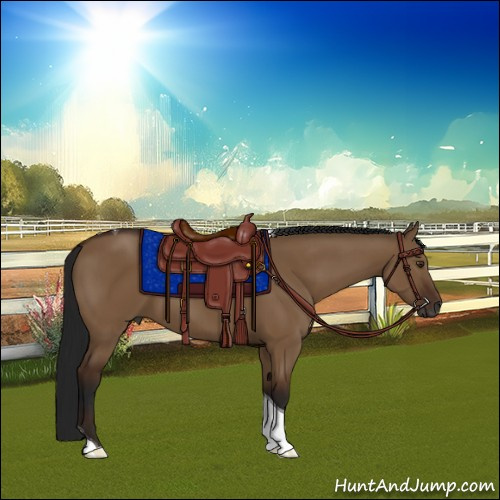 Horse Color:Gray Bay Dun Sabino Tobiano 