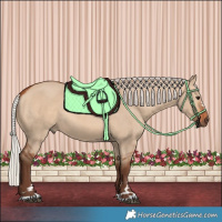 Horse Color:Silver Bay Dun