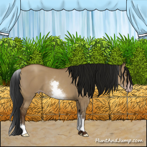 Horse Color:Gray White Spotted Classic Champagne Dun 