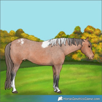 Horse Color:Bay Tobiano Varnish 