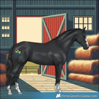 Horse Color:Black 