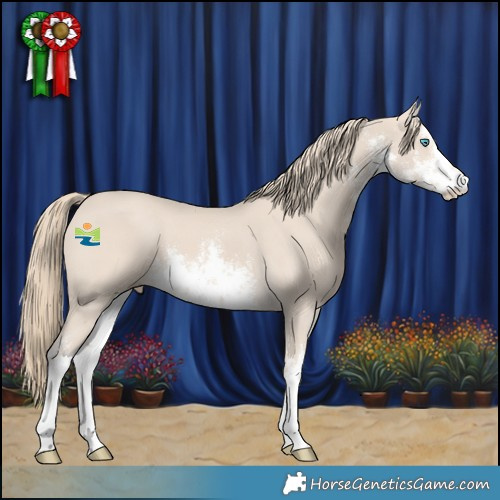 Horse Color:White Spotted Smoky Creme 