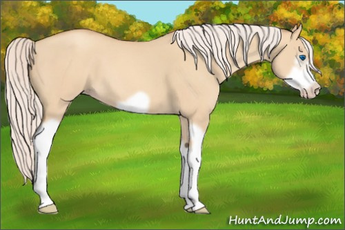 Horse Color:Silver Classic Champagne Dun Splash Frame