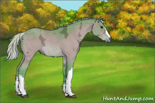 Horse Color:Watercolor Silver Bay Ice 