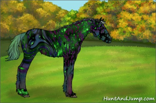 Horse Color:ERROR: UNKNOWN ANOMALY