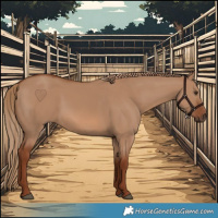 Horse Color:Red Dun 