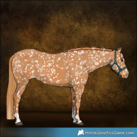 Horse Color:Chestnut Tobiano Snowflake Varnish