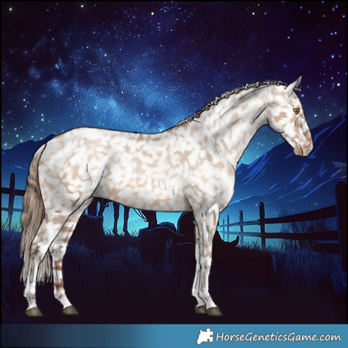 Horse Color:Brown Pearl Dun Tobiano Appaloosa Rabicano 