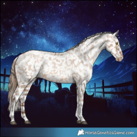 Horse Color:Brown Snowdrop Dun Tobiano Snowflake VarnishRabicano 
