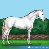 Horse Color:Chestnut Tobiano Snowflake Varnish