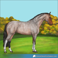 Horse Color:Bay Roan Tobiano 