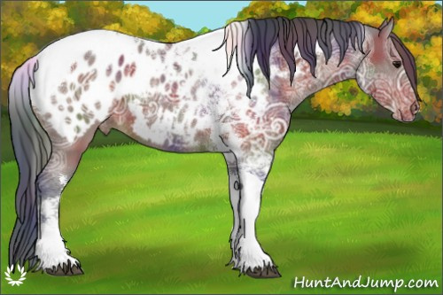 Horse Color:Nacre Brown Ice Tobiano Appaloosa Rabicano 