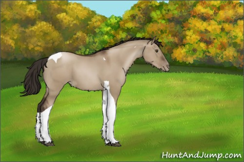 Horse Color:Gray Grullo Pearl Tobiano 