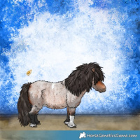 Horse Color:Bay Roan Tobiano 