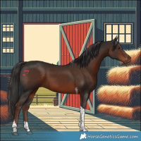 Horse Color:Liver Chestnut Tobiano 