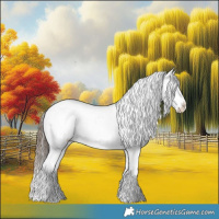Horse Color:Bay Tobiano Appaloosa 