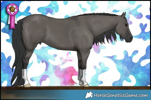 Horse Color:Grullo 