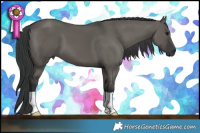Horse Color:Grullo 