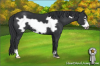 Horse Color:Black Frame
