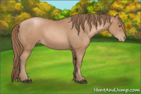 Horse Color:Black Pearl 