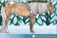 Horse Color:Silver Buckskin Appaloosa