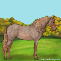 Horse Color:Red Roan 