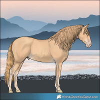 Horse Color:Gold Champagne Rabicano 