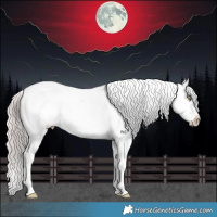 Horse Color:Platinum Chocolate Bay Pearl Dun Tobiano Appaloosa 