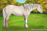 Horse Color:Silver Grullo Pearl Appaloosa Rabicano 