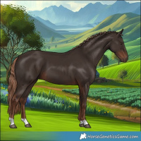 Horse Color:Liver Chestnut 
