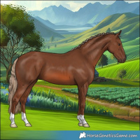 Horse Color:Chestnut 