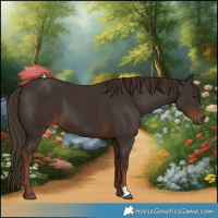 Horse Color:Liver Chestnut 