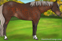 Horse Color:Silver Brown 