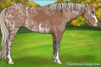 Horse Color:Silver Buckskin Ice Sabino