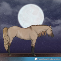 Horse Color:Liver Red Dun Rabicano 