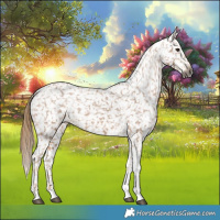 Horse Color:Gray Chestnut Tobiano Snowflake Varnish