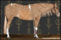 Horse Color:Chestnut Tobiano Snowflake Varnish
