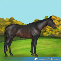 Horse Color:Brown 