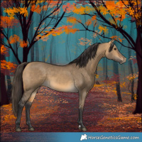 Horse Color:Buckskin Dun 