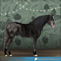 Horse Color:Void Platinum Brown Roan Pearl and Void Platinum Brown Roan Dun