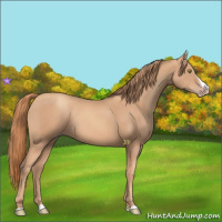 Horse Color:Gold Champagne Splash 