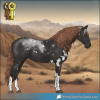 Horse Color:White Spotted Liver Chestnut Tobiano 