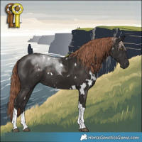 Horse Color:White Spotted Liver Chestnut Tobiano 