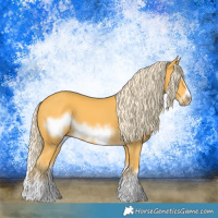 Horse Color:Palomino Splash Frame