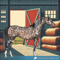 Horse Color:Brown Dun Snowflake Varnish 