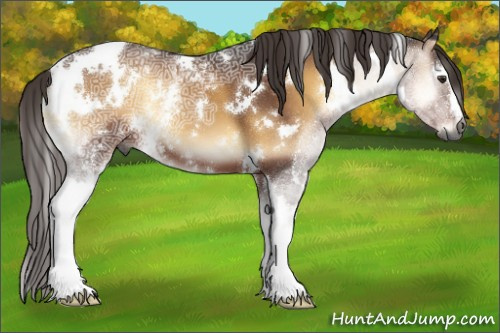 Horse Color:Gray White Spotted Liver Red Onyx Ice 