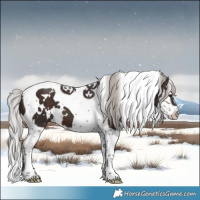 Horse Color:White Spotted Silver Brown Splash Tobiano